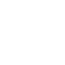 White cow icon