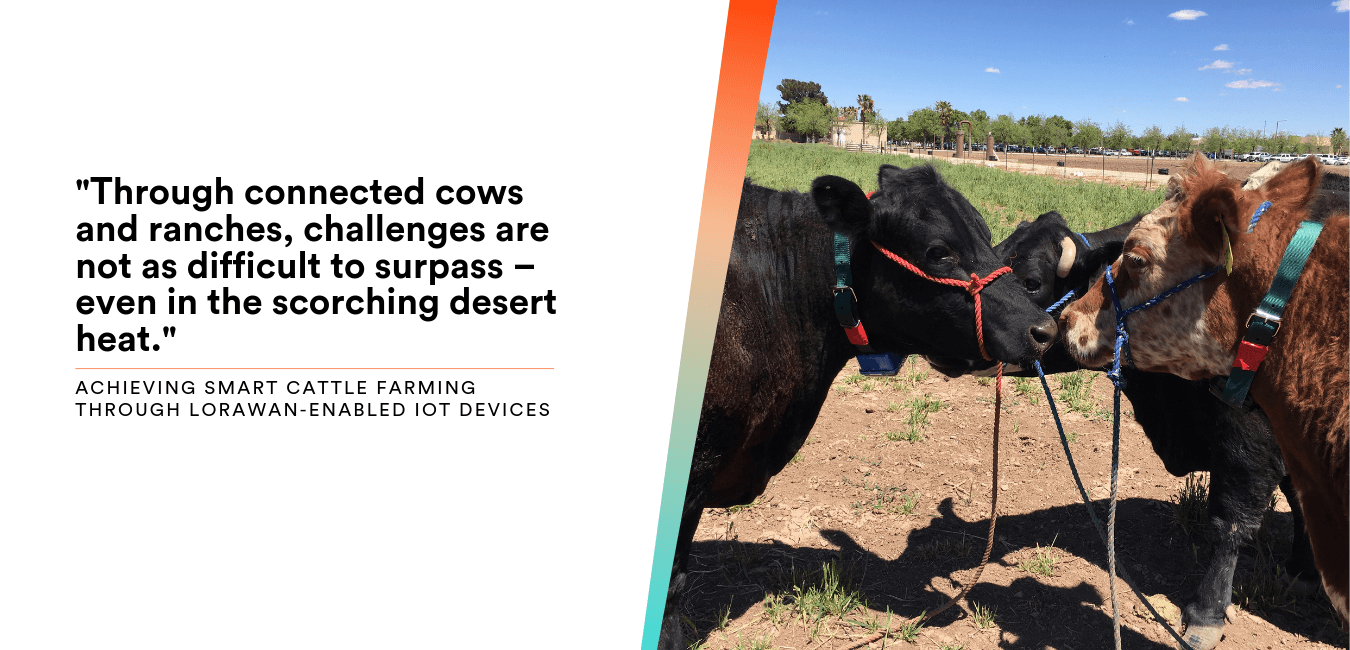 Cattle Tracking Challenge Accepted: Connecting New Mexico Cows and Desert Ranches with Abeeway