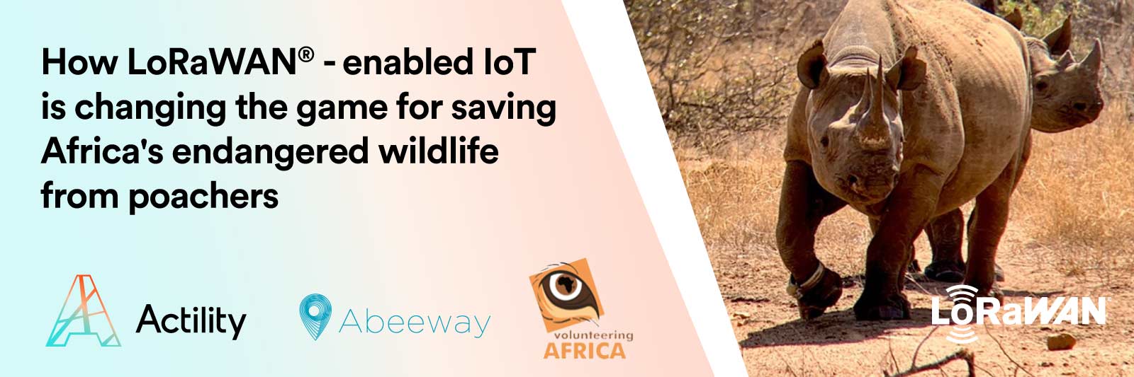 Volunteering Africa is tracking rhinos to win the anti-poaching fight –  Actility