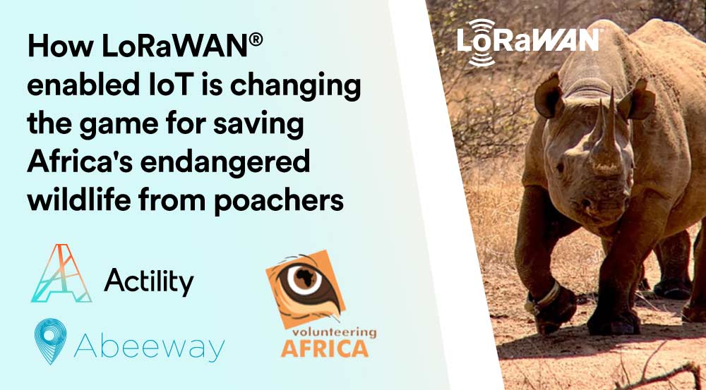 Volunteering Africa is tracking rhinos to win the anti-poaching fight