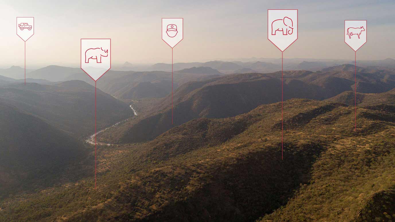 wildlife monitoring with IoT sensors