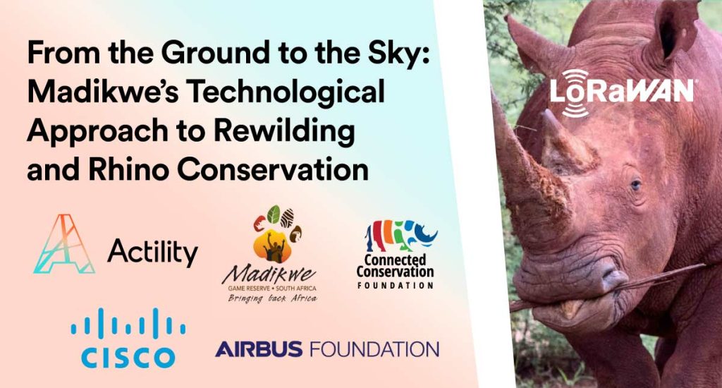 From the ground to the sky: Madikwe’s technological approach to rewilding and rhino conservation